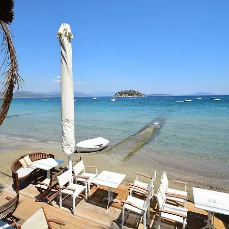Seaside Apartment Tolo